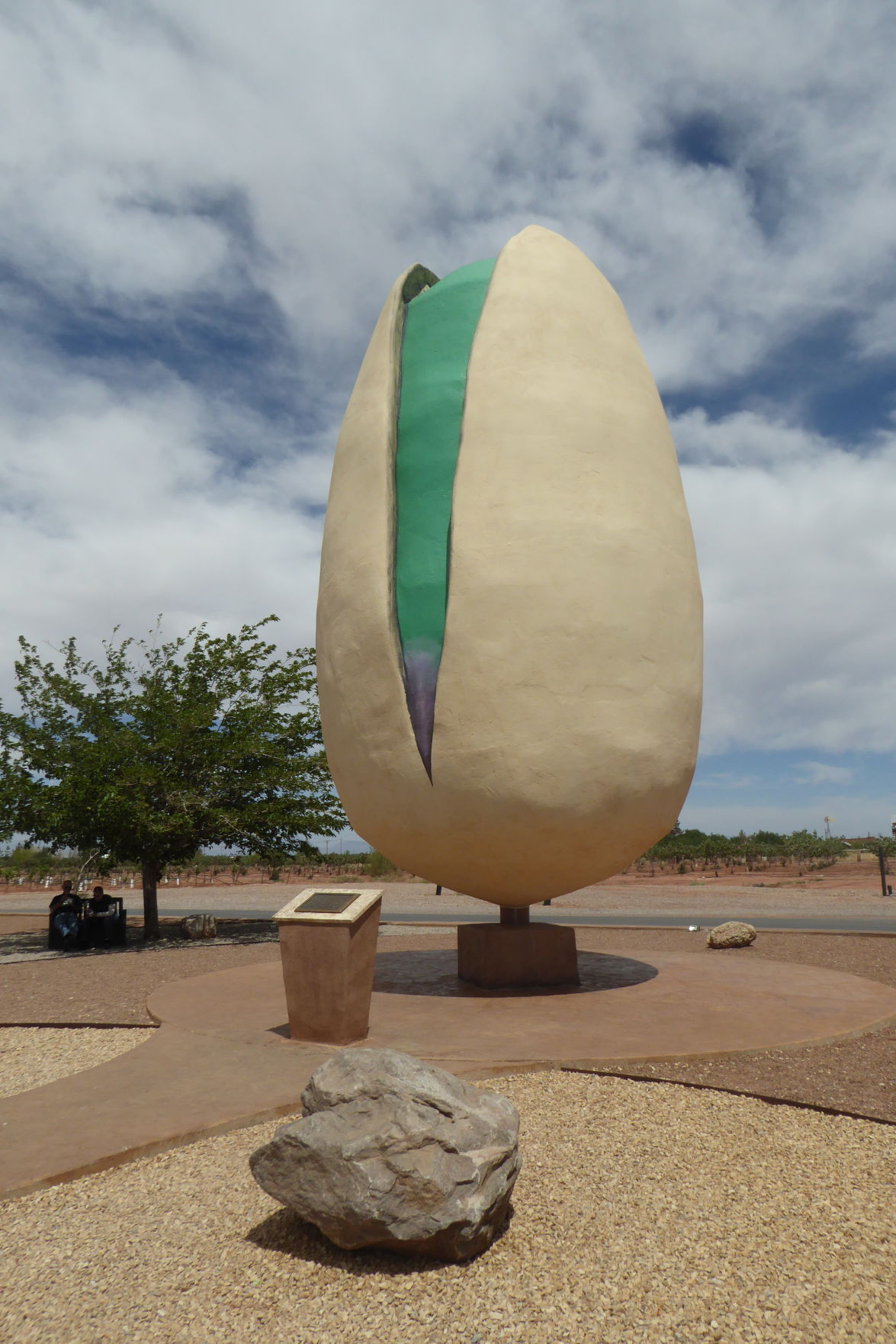 pistachio